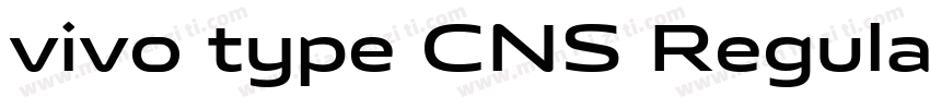 vivo type CNS Regular字体转换